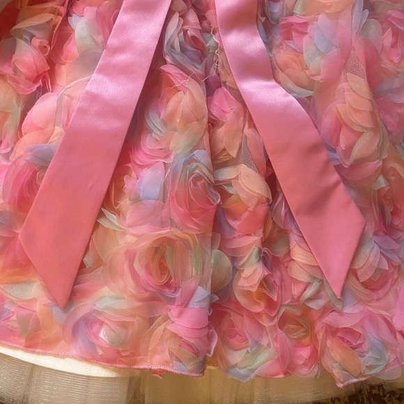 American Princess Multicolor Rosette Kids Dress - Picture 5 of 6